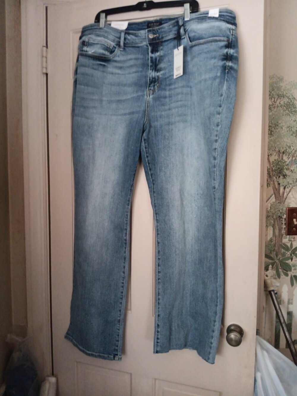 Judy Blue Women's Jeans Distressed Mid-rise Brand New size 24w